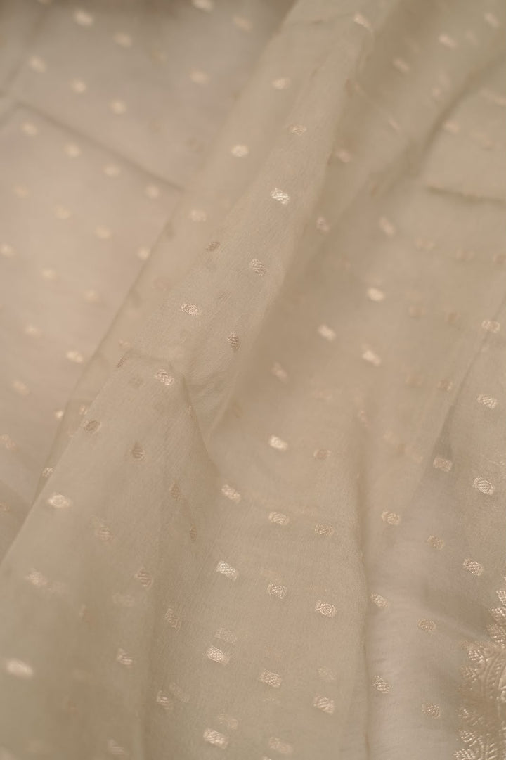 Banarasi Salwar TSS5349