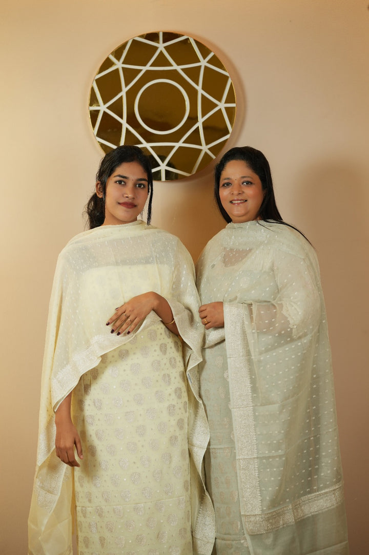 Banarasi Salwar TSS5349