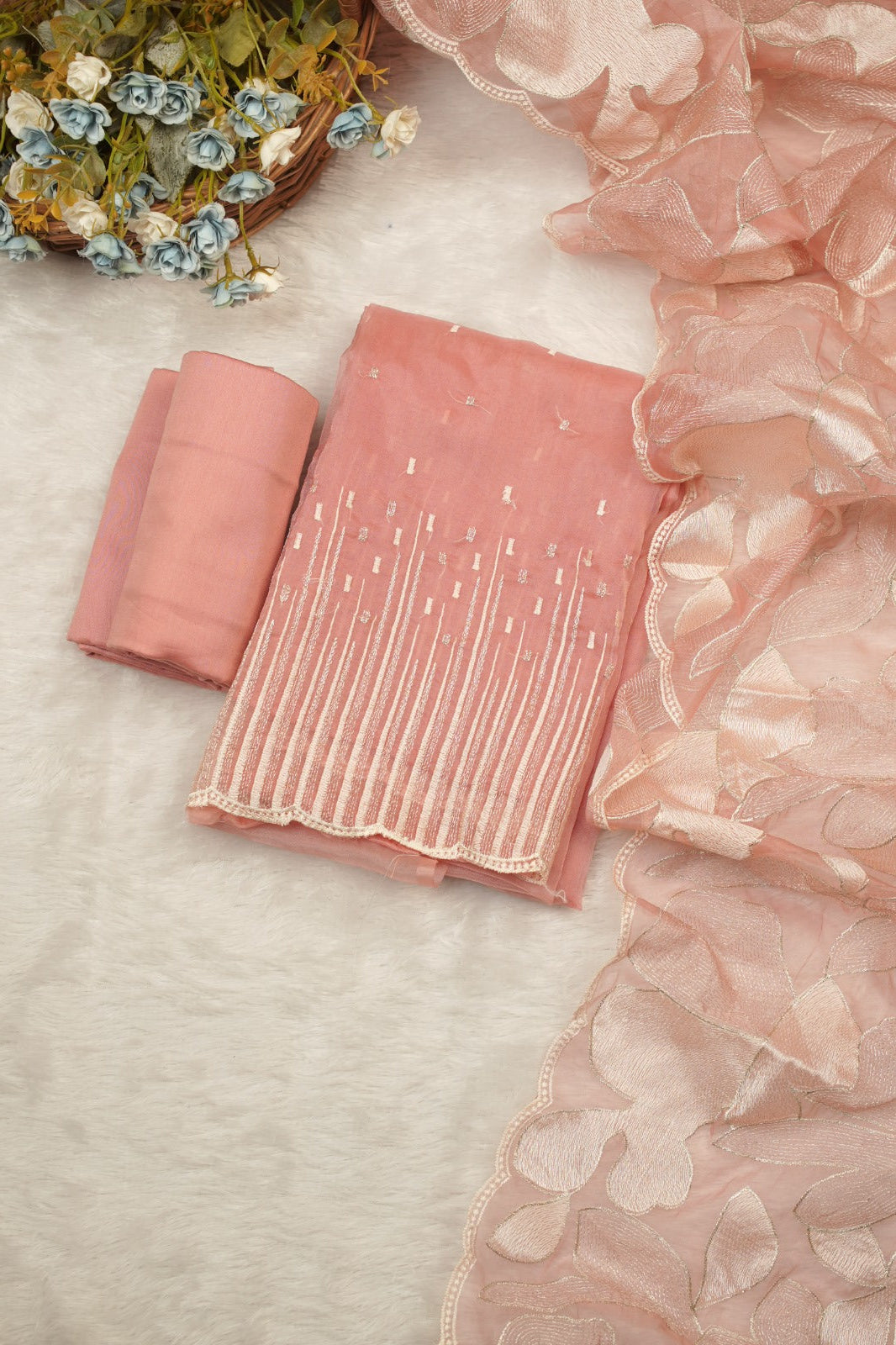 Organza Salwar TSS5350