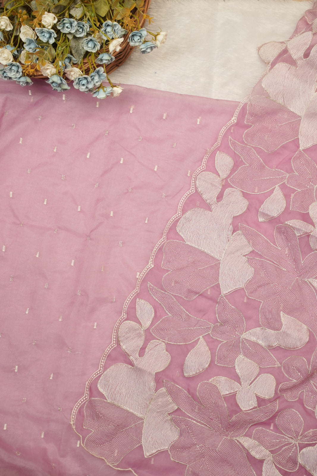 Organza Salwar TSS5350