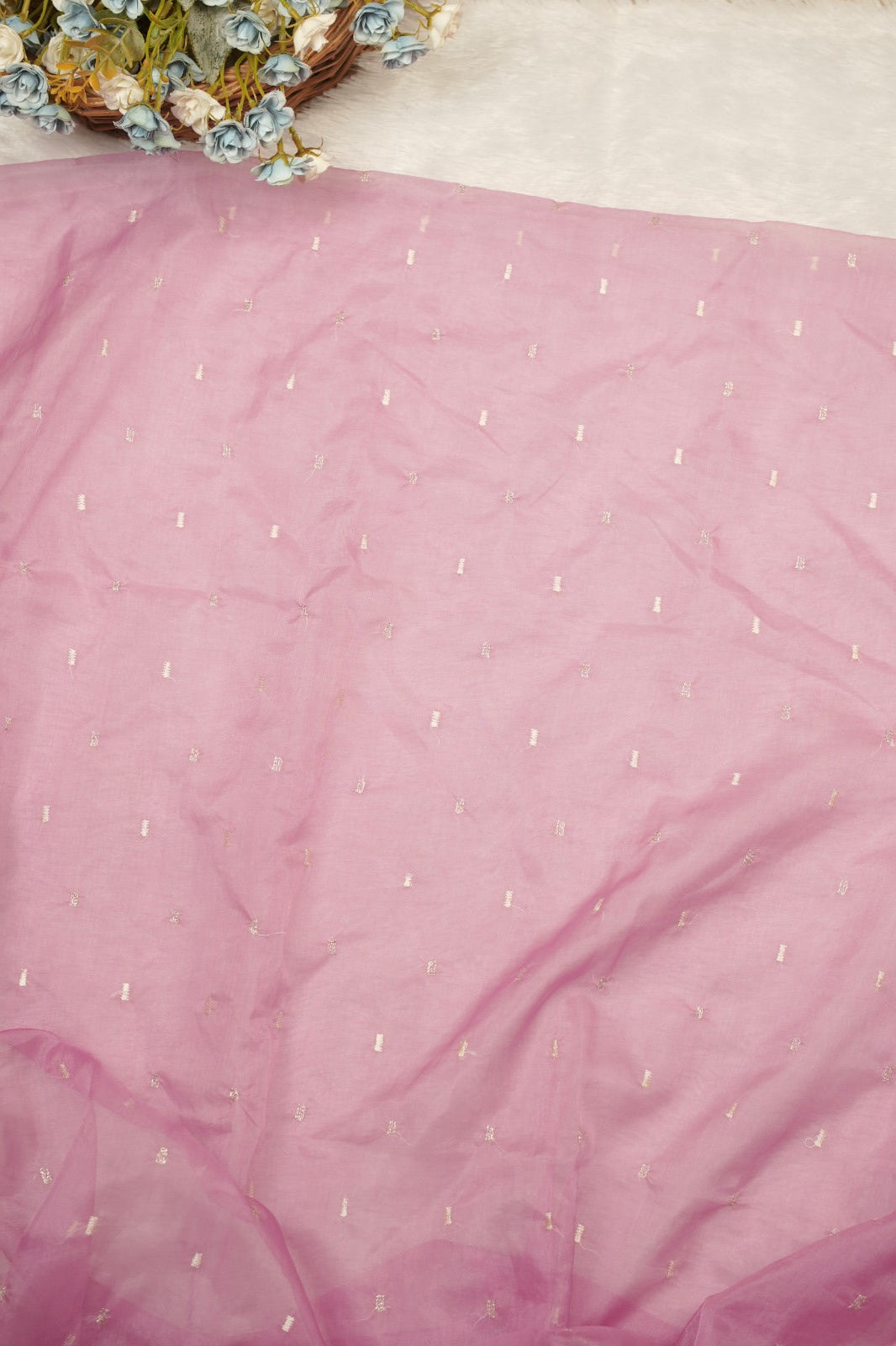 Organza Salwar TSS5350