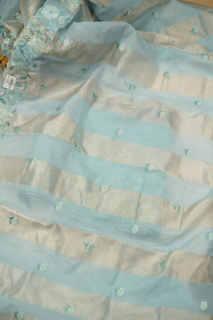 Organza Salwar TSS5355