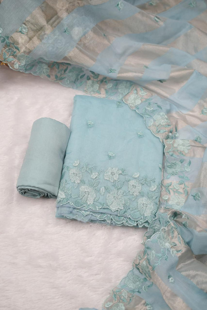 Organza Salwar TSS5355