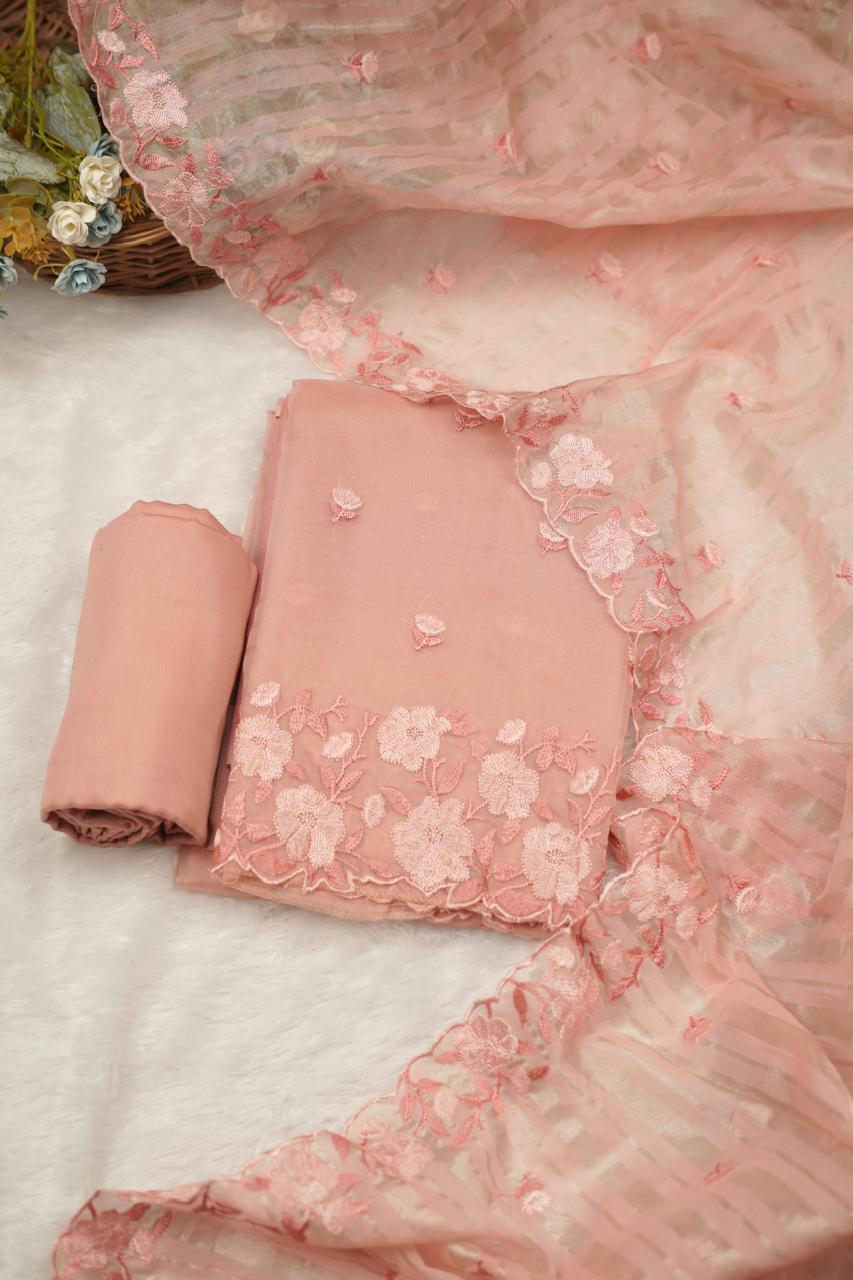 Organza Salwar TSS5355
