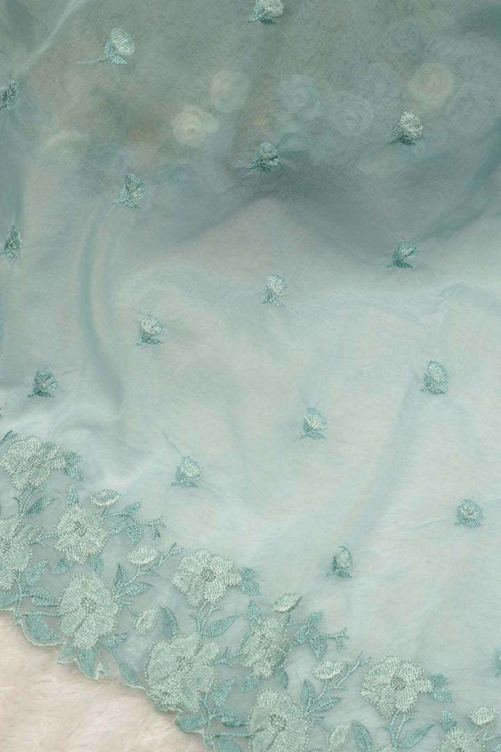 Organza Salwar TSS5355
