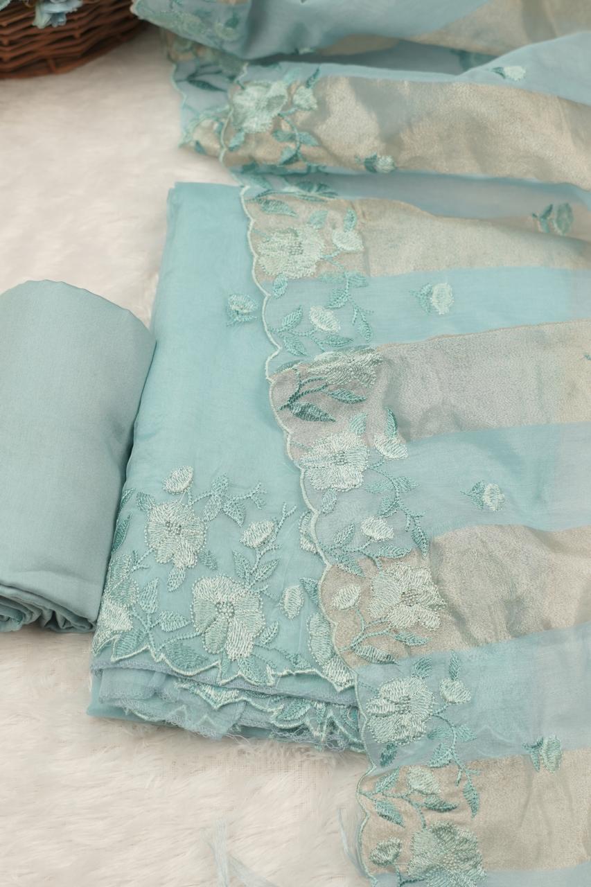 Organza Salwar TSS5355