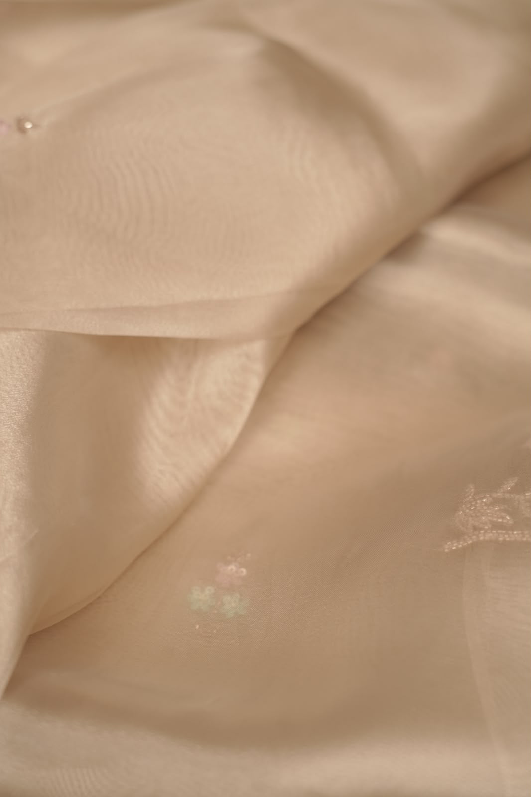 Organza Saree TSA5348