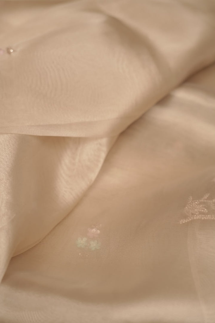 Organza Saree TSA5348