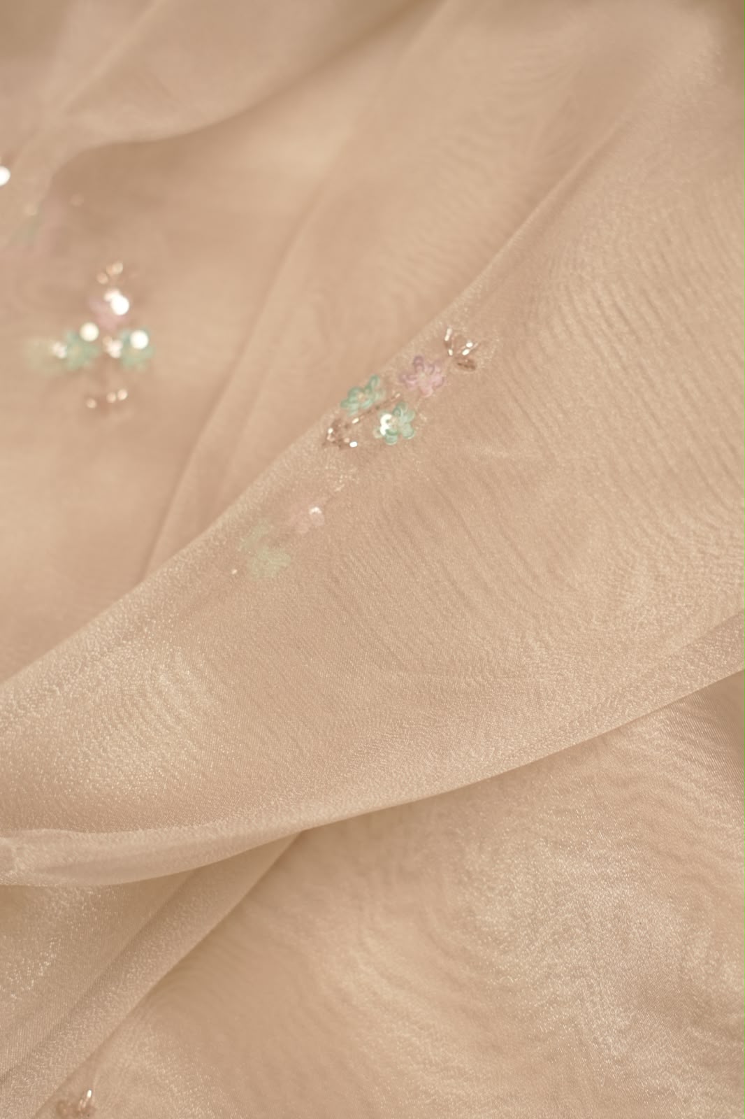 Organza Saree TSA5348