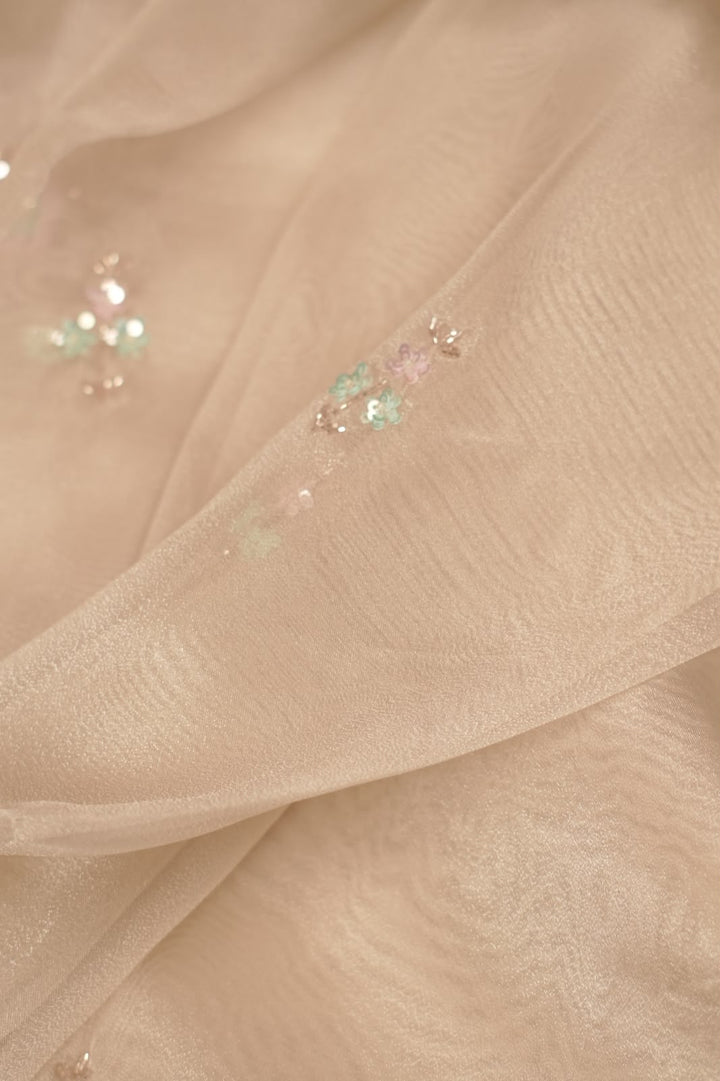 Organza Saree TSA5348