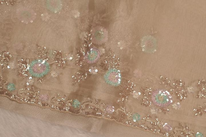 Organza Saree TSA5348
