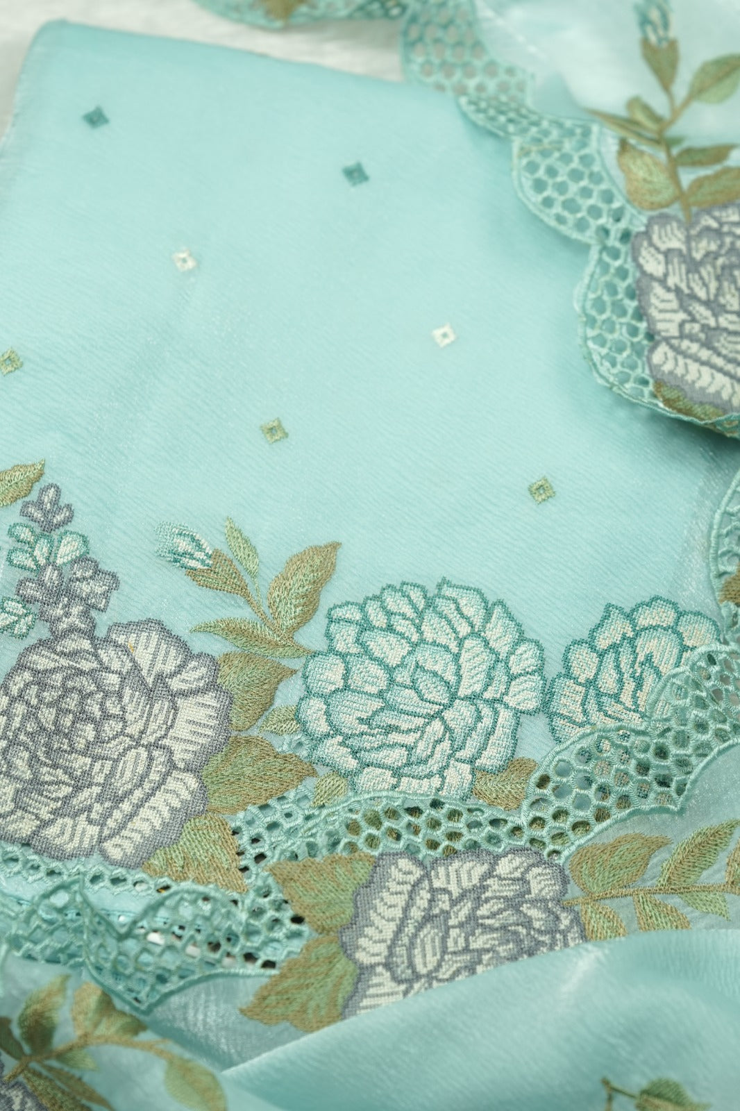 Crushed Organza Salwar TSS0916
