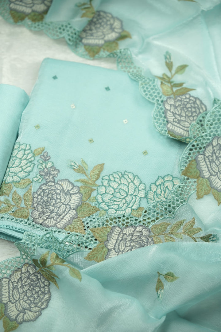 Crushed Organza Salwar TSS0916