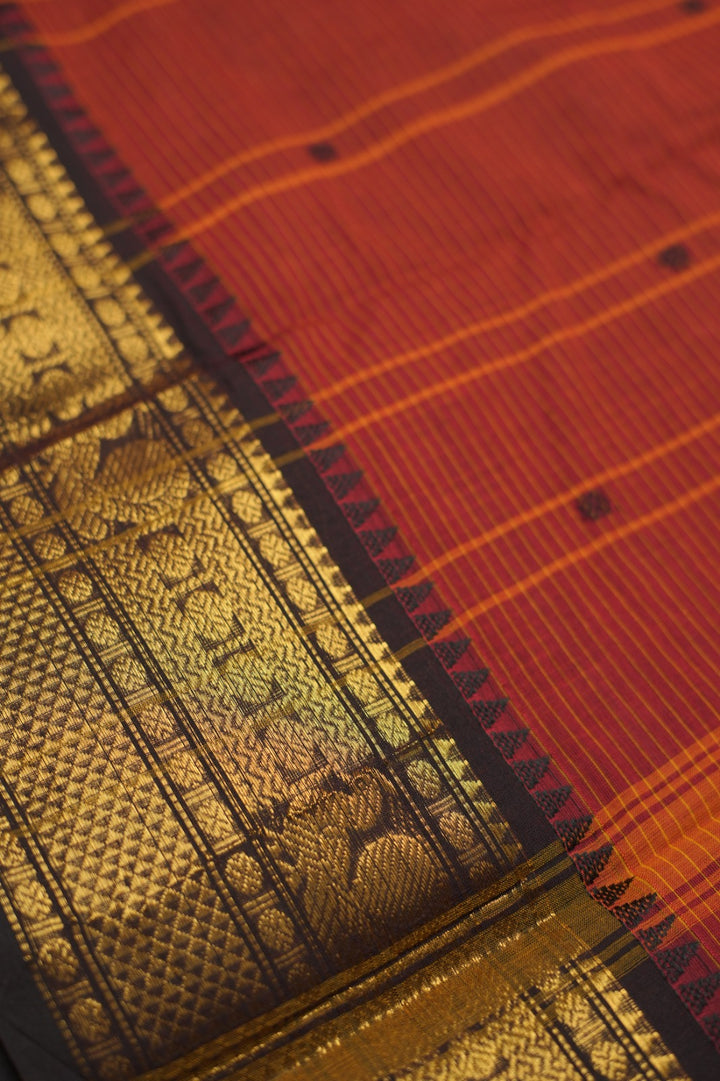 Kanchi Cotton Saree TSA5372