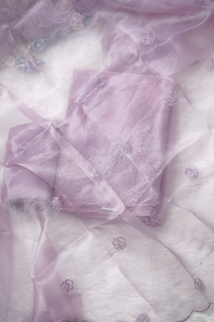 Organza Salwar TSS5376