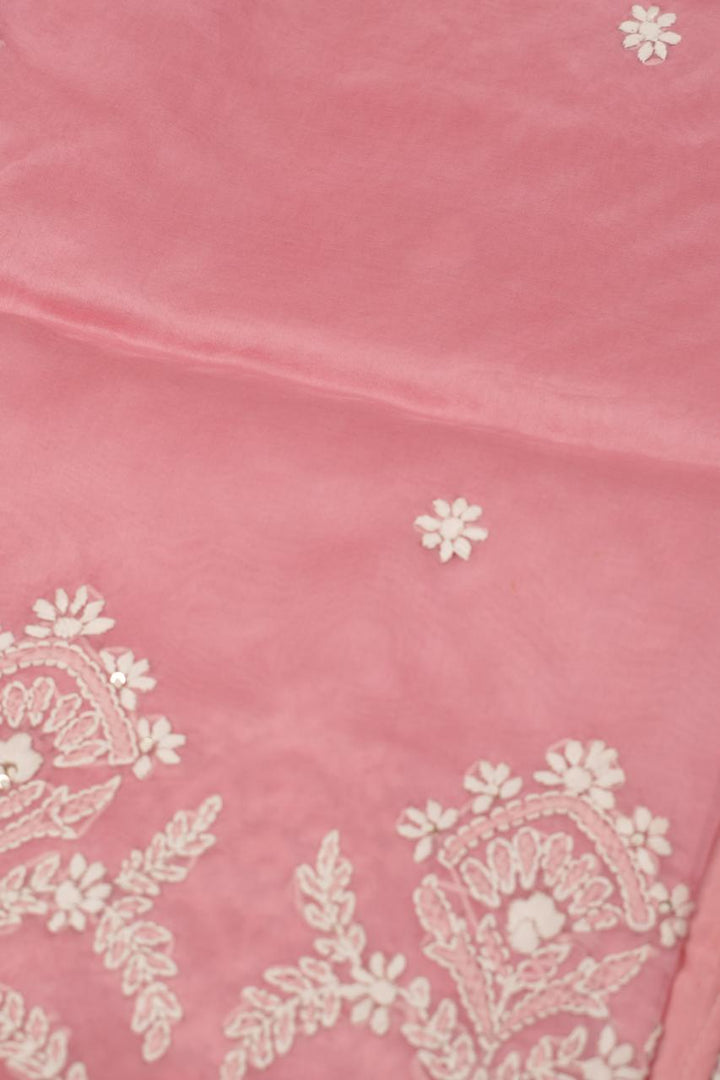 Organza Saree TSA5398