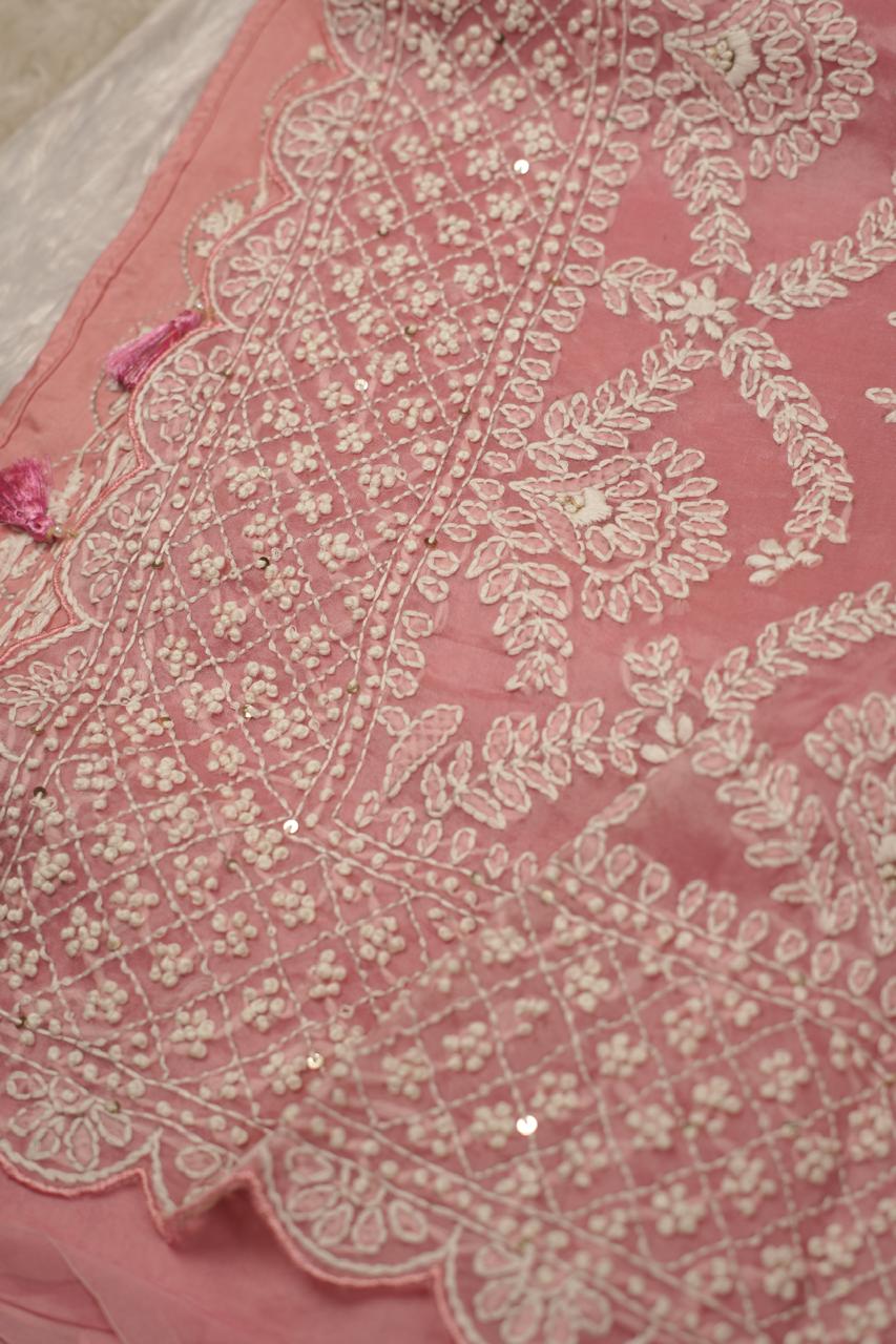 Organza Saree TSA5398