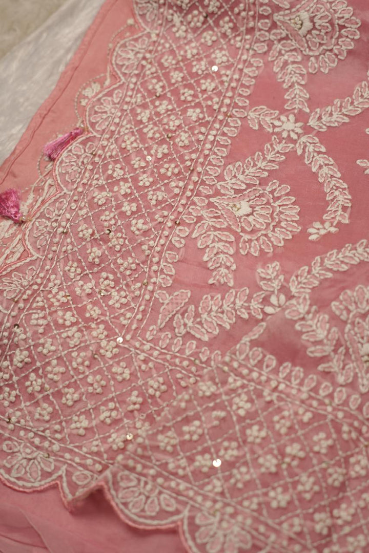 Organza Saree TSA5398