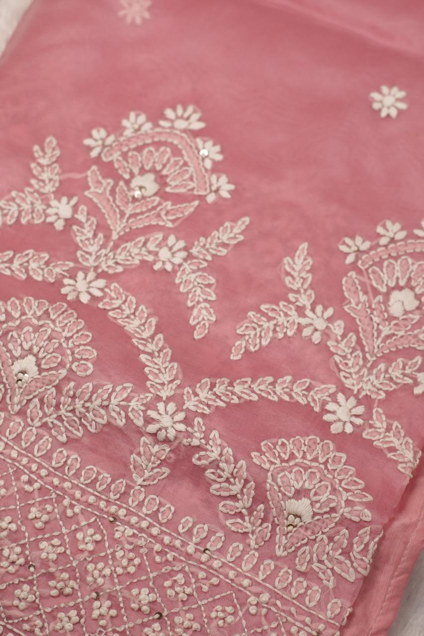 Organza Saree TSA5398