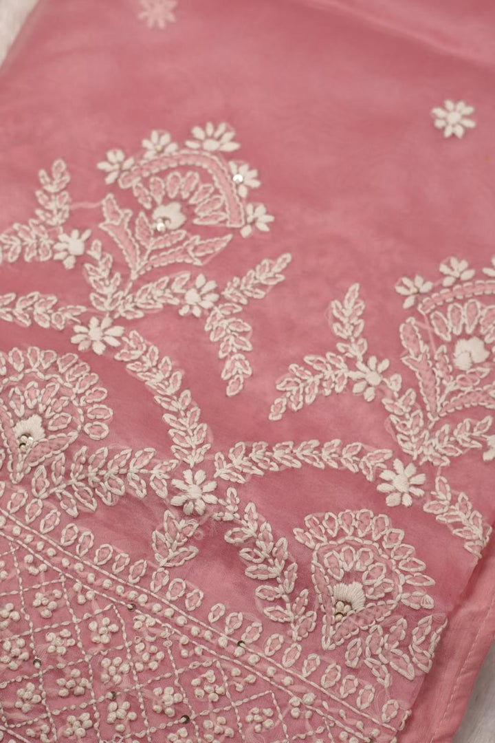 Organza Saree TSA5398