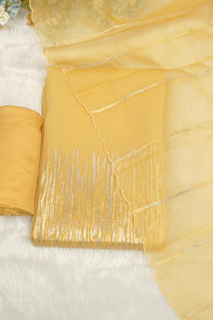 Organza Salwar TSS5418