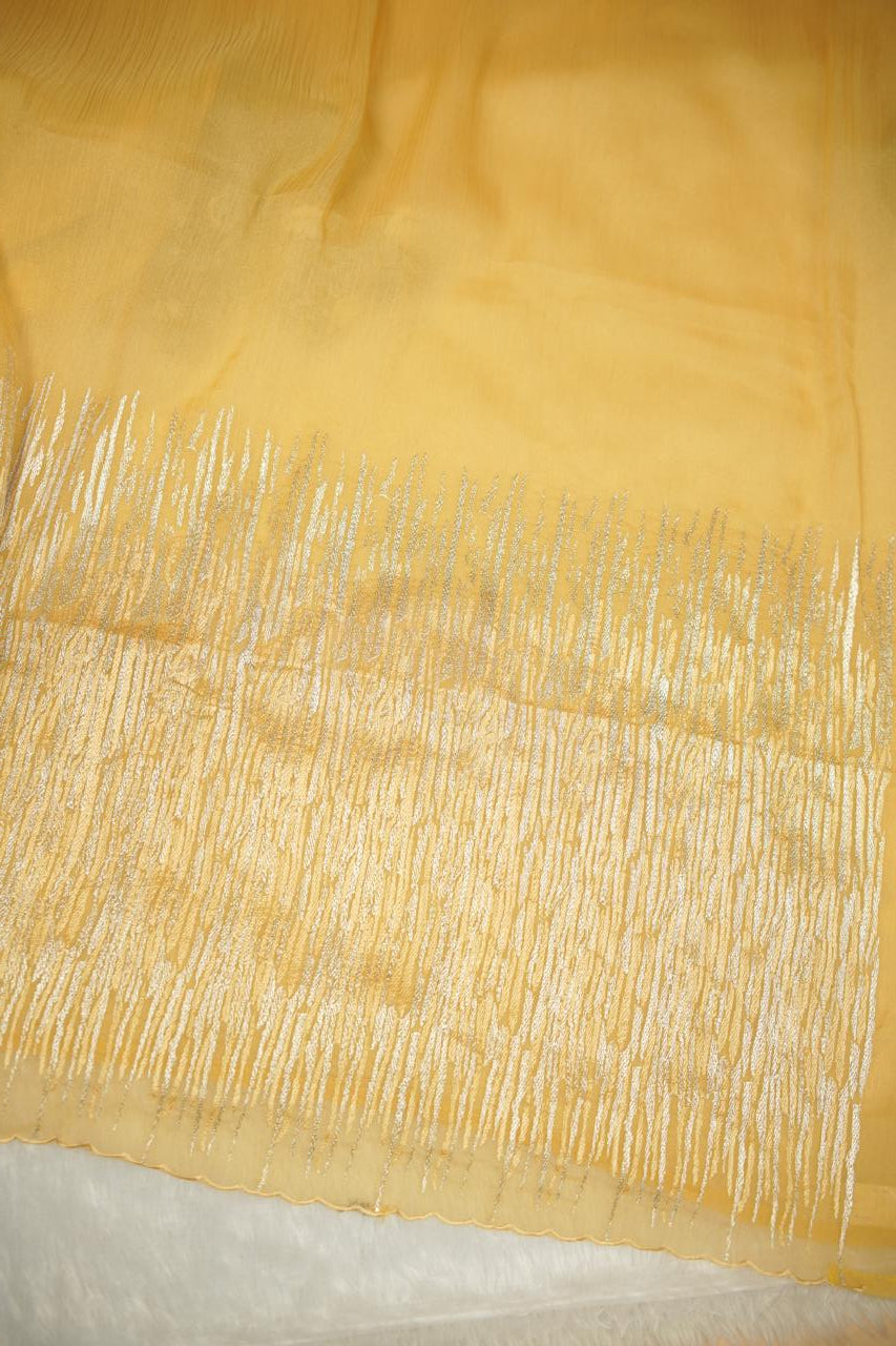 Organza Salwar TSS5418