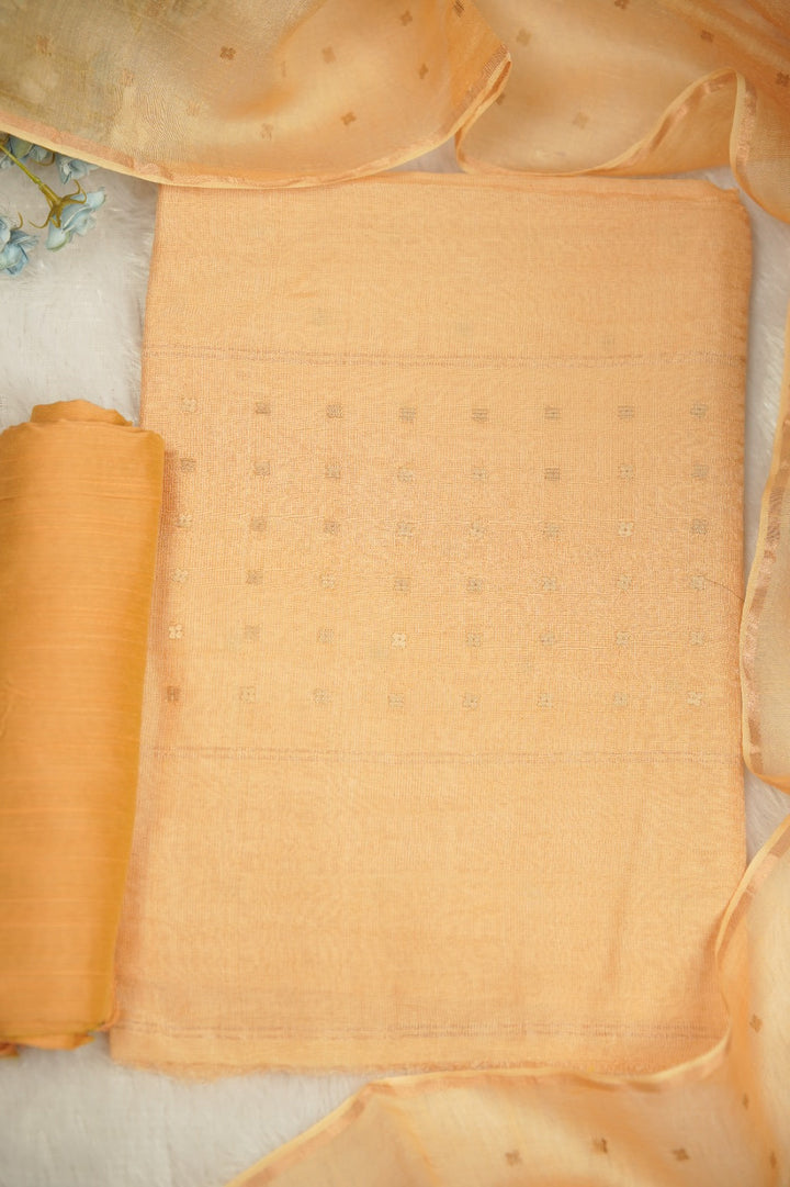 Jute Net Salwar TSS0974