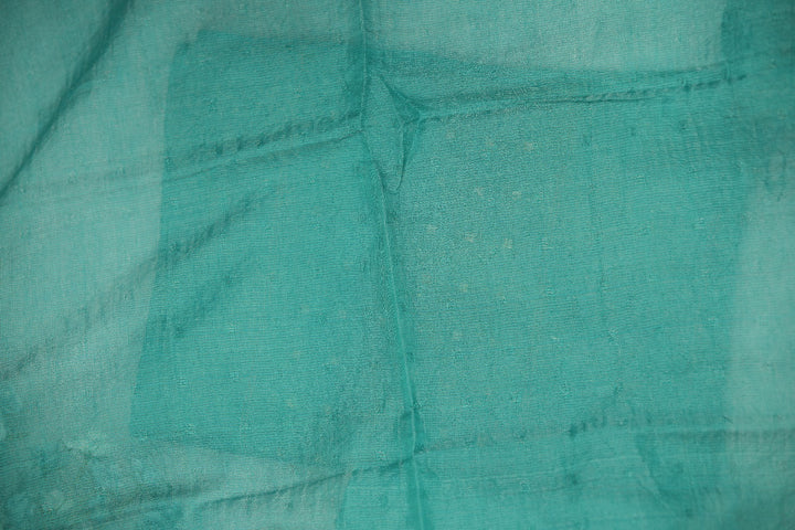Jute Net Salwar TSS0972