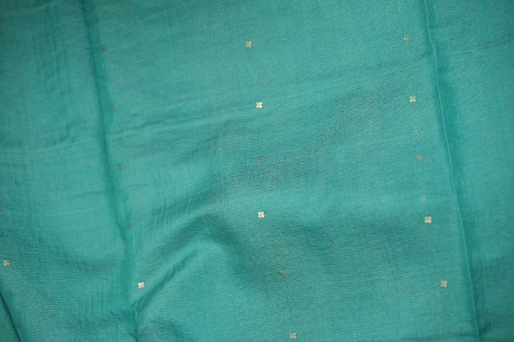 Jute Net Salwar TSS0972
