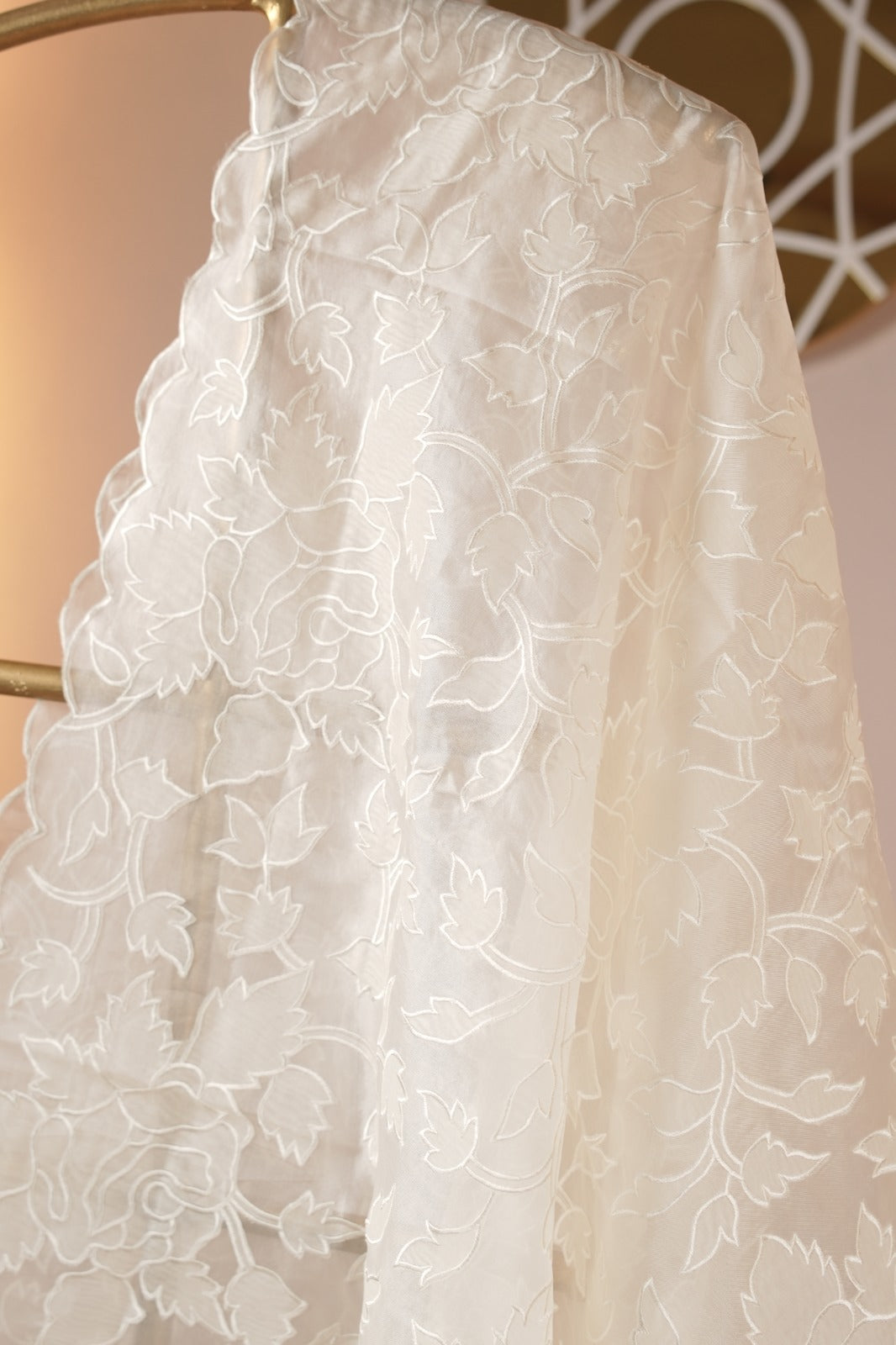 Organza Dupatta TDA0980