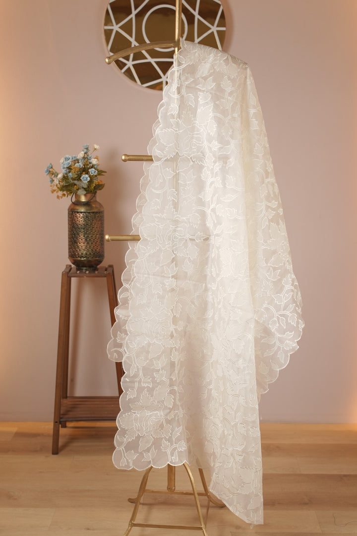Organza Dupatta TDA0980