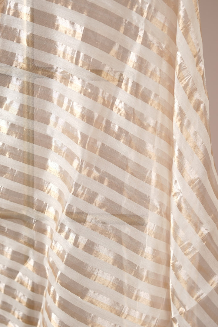 Organza Dupatta TDA0979
