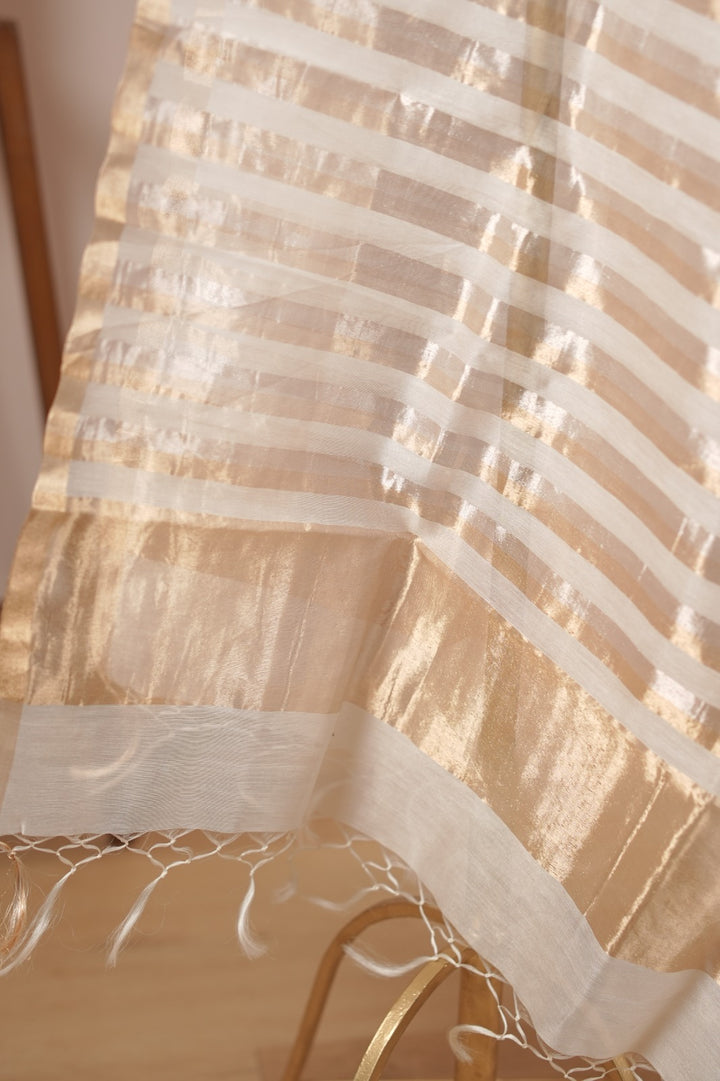 Organza Dupatta TDA0979