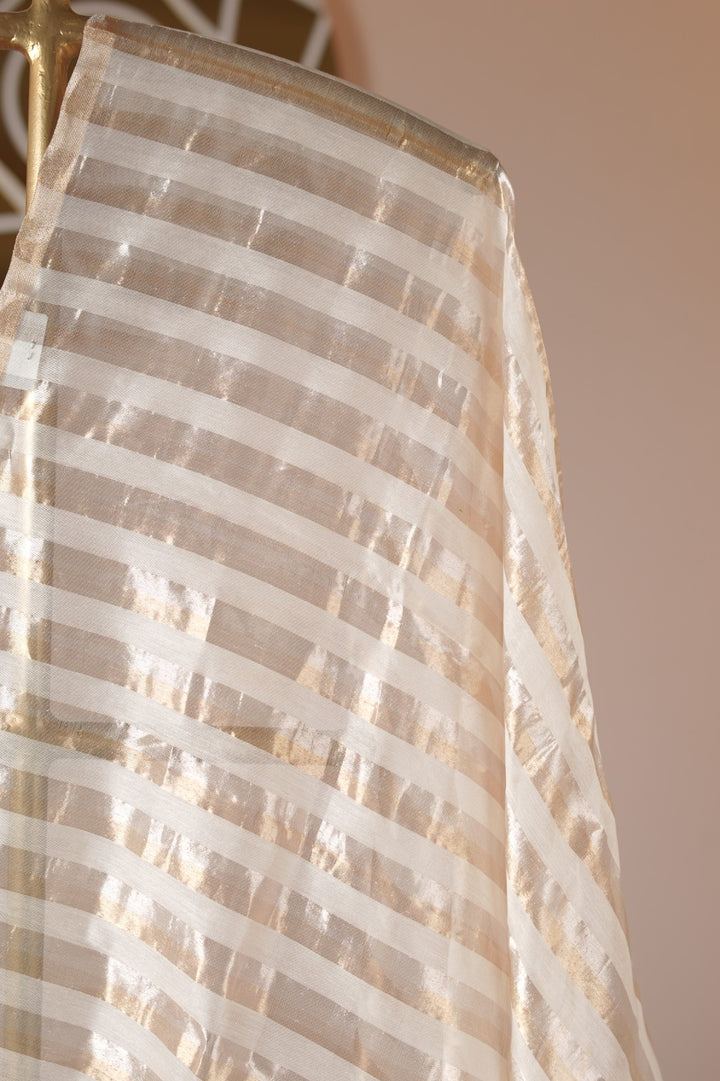 Organza Dupatta TDA0979