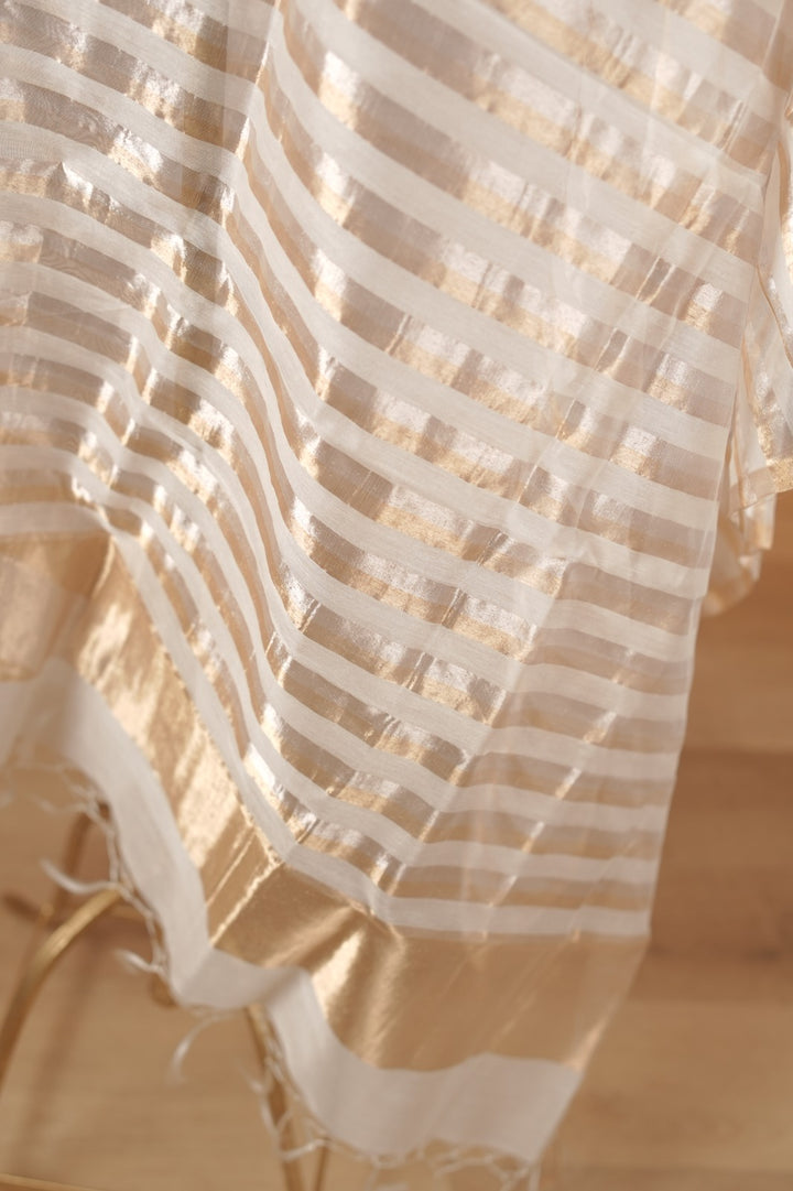 Organza Dupatta TDA0979