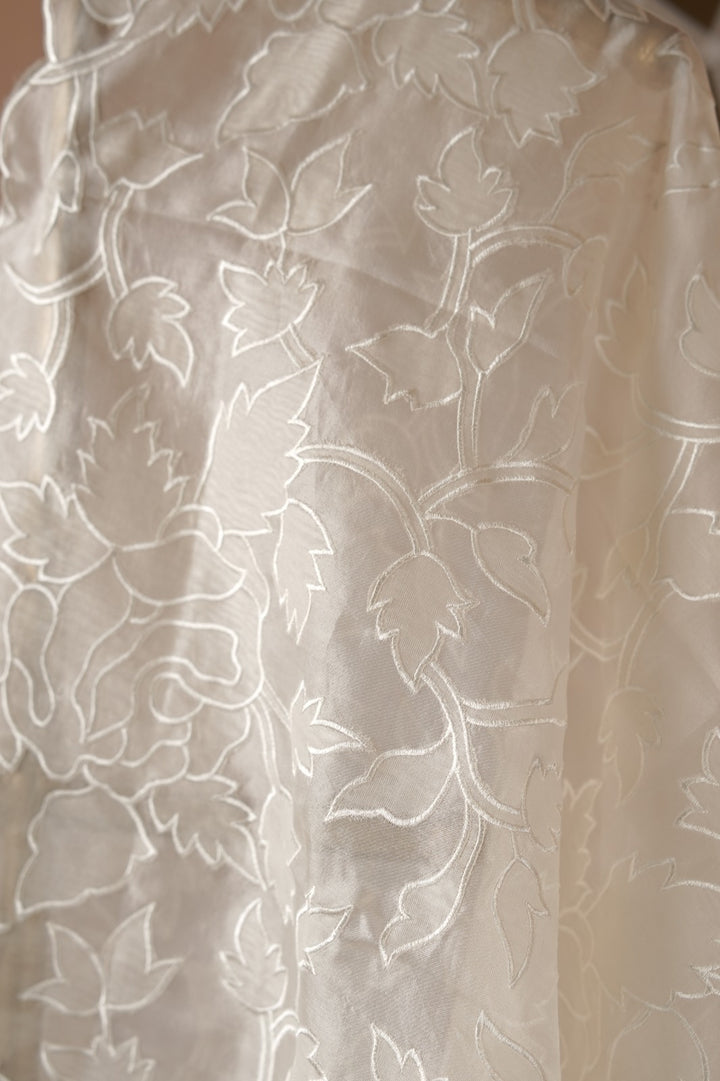 Organza Dupatta TDA0980