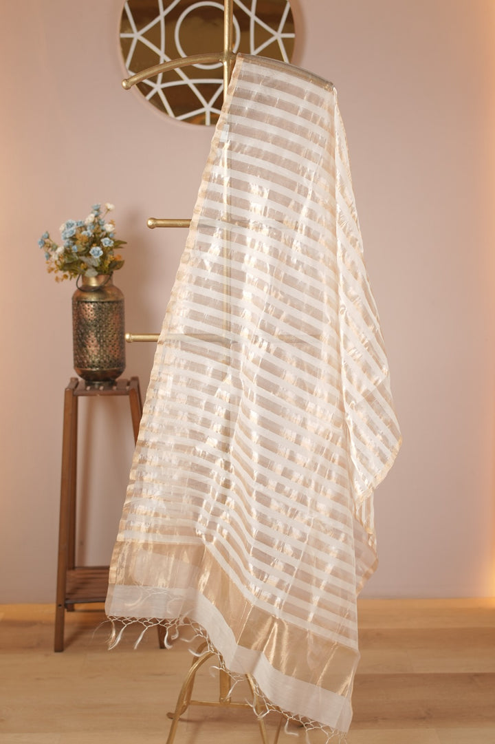 Organza Dupatta TDA0979