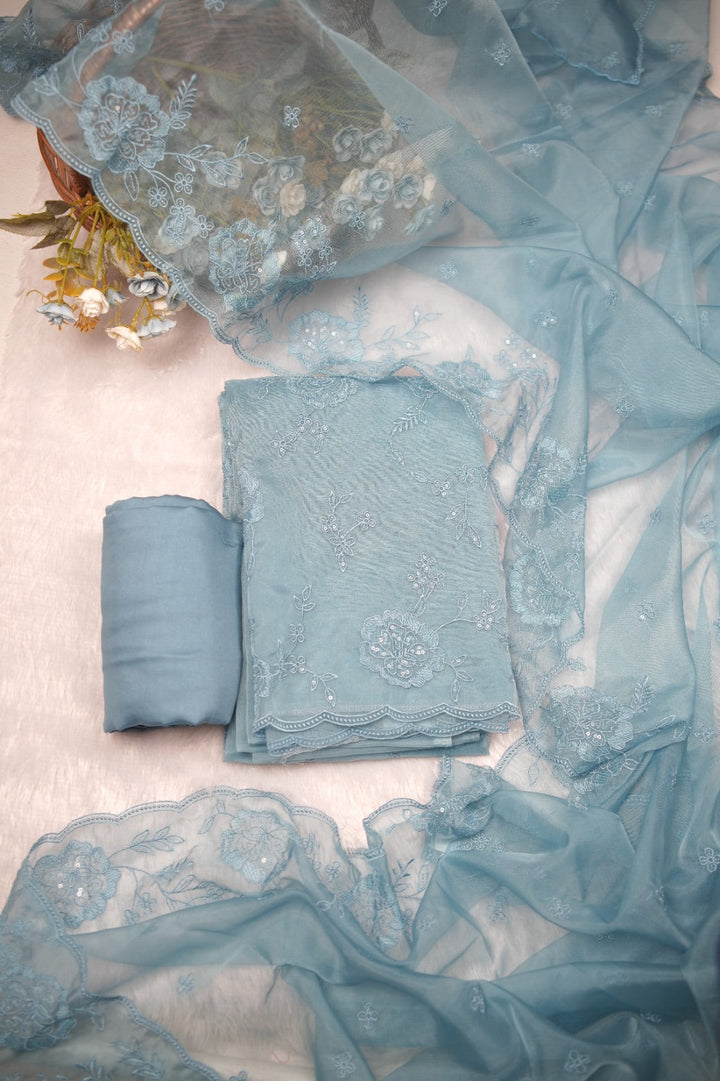 Organza Salwar TSS5455