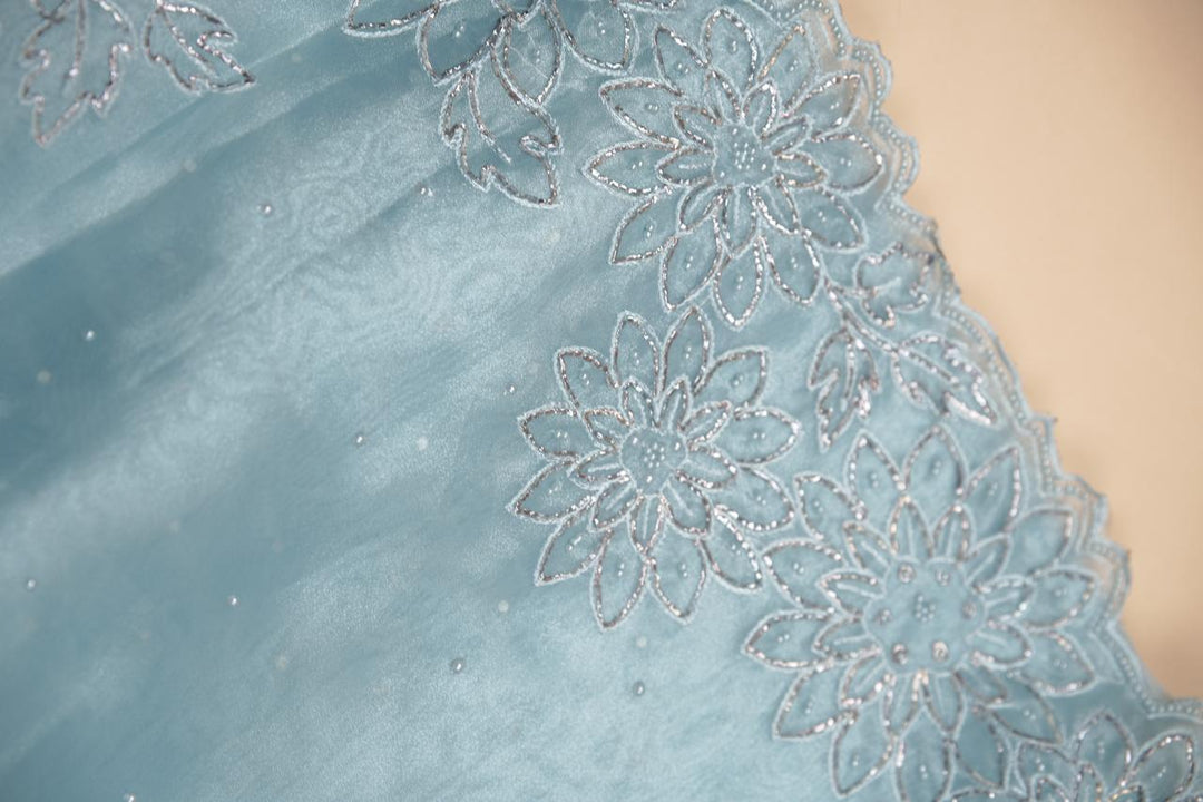Glass Organza Saree TSA5467