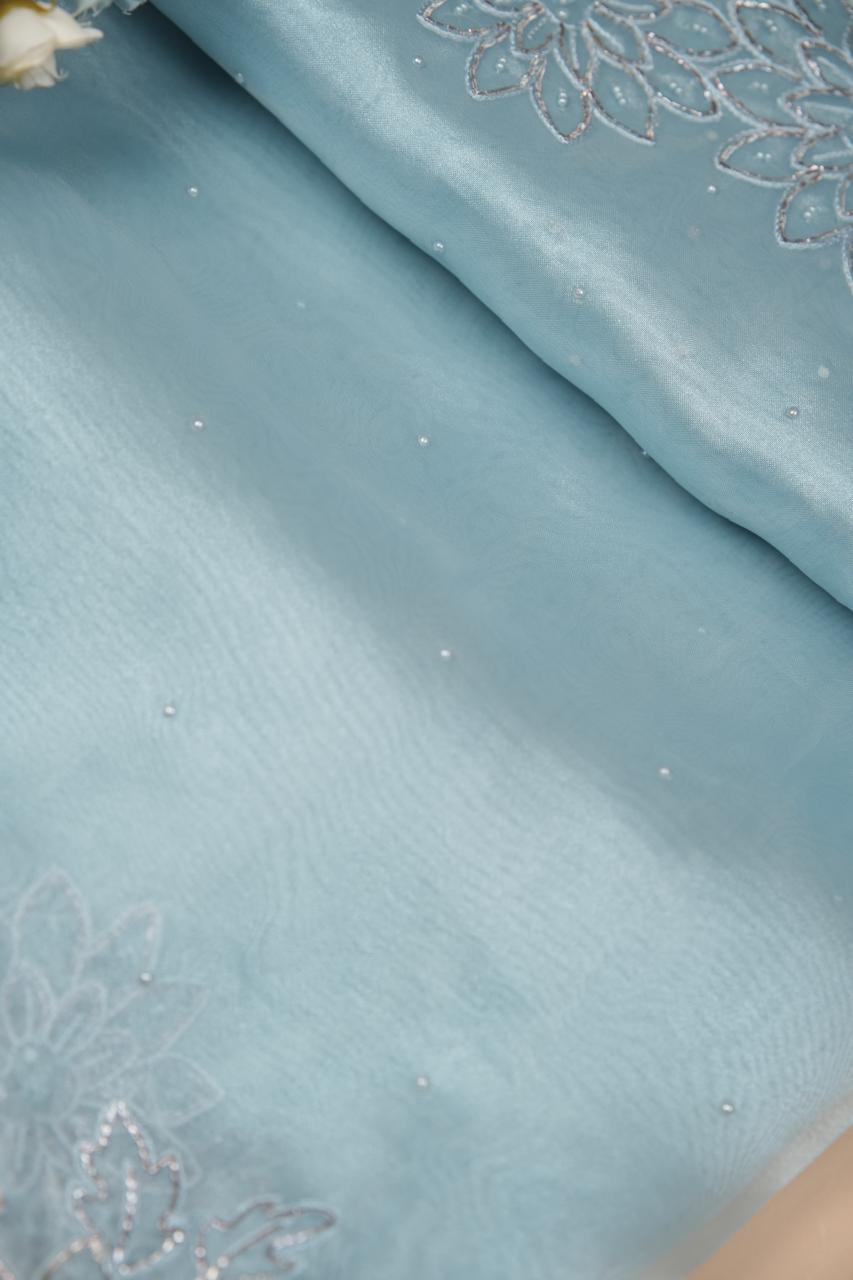 Glass Organza Saree TSA5467