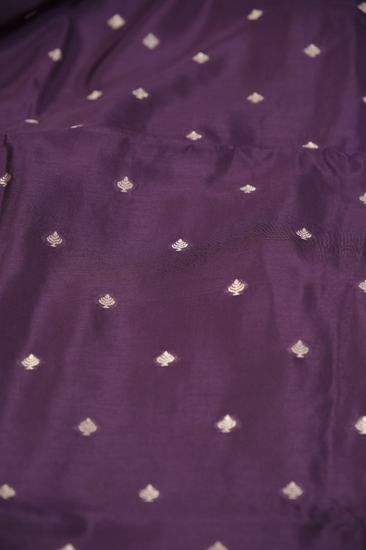 Banarasi Silk Salwar TSS5524