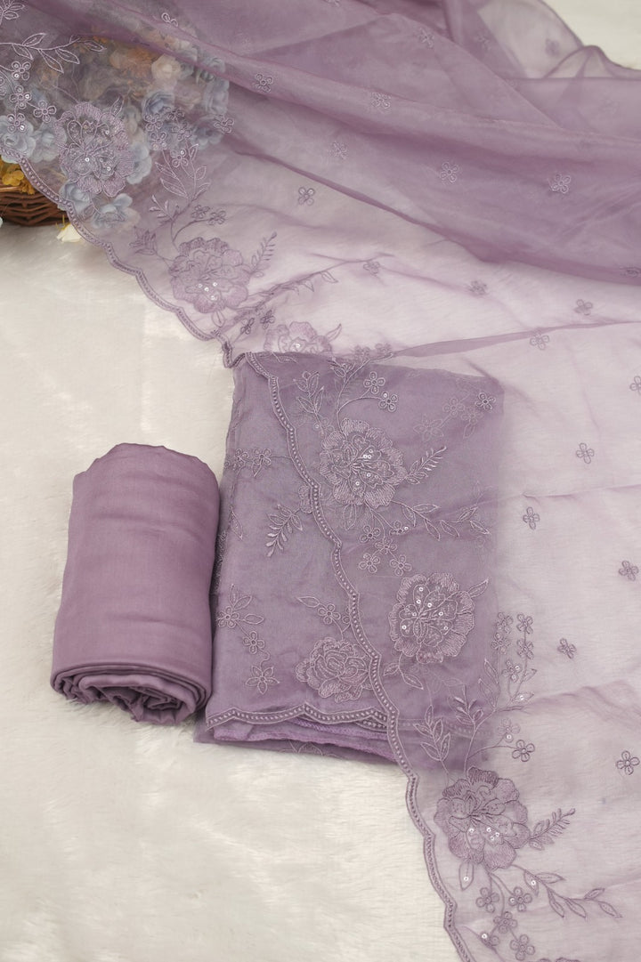 Organza Salwar TSS5473