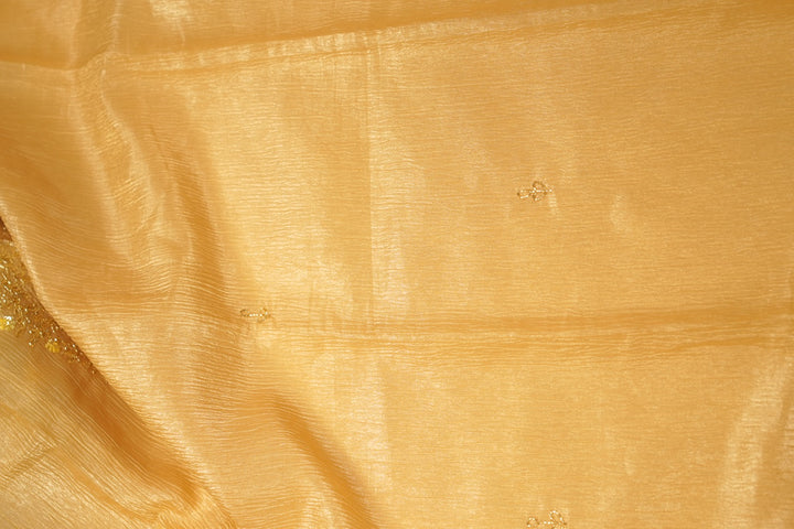 Organza Salwar TSS5481