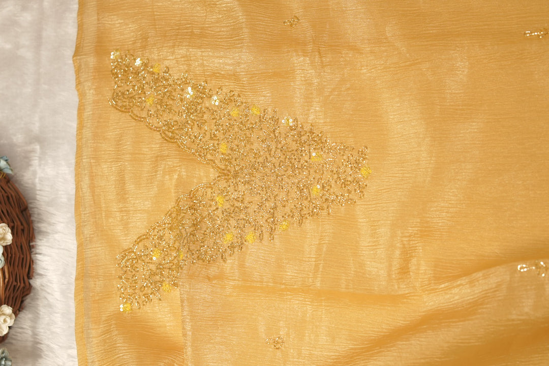 Organza Salwar TSS5481