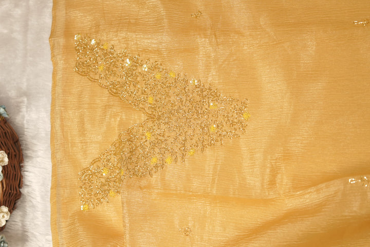 Organza Salwar TSS5481