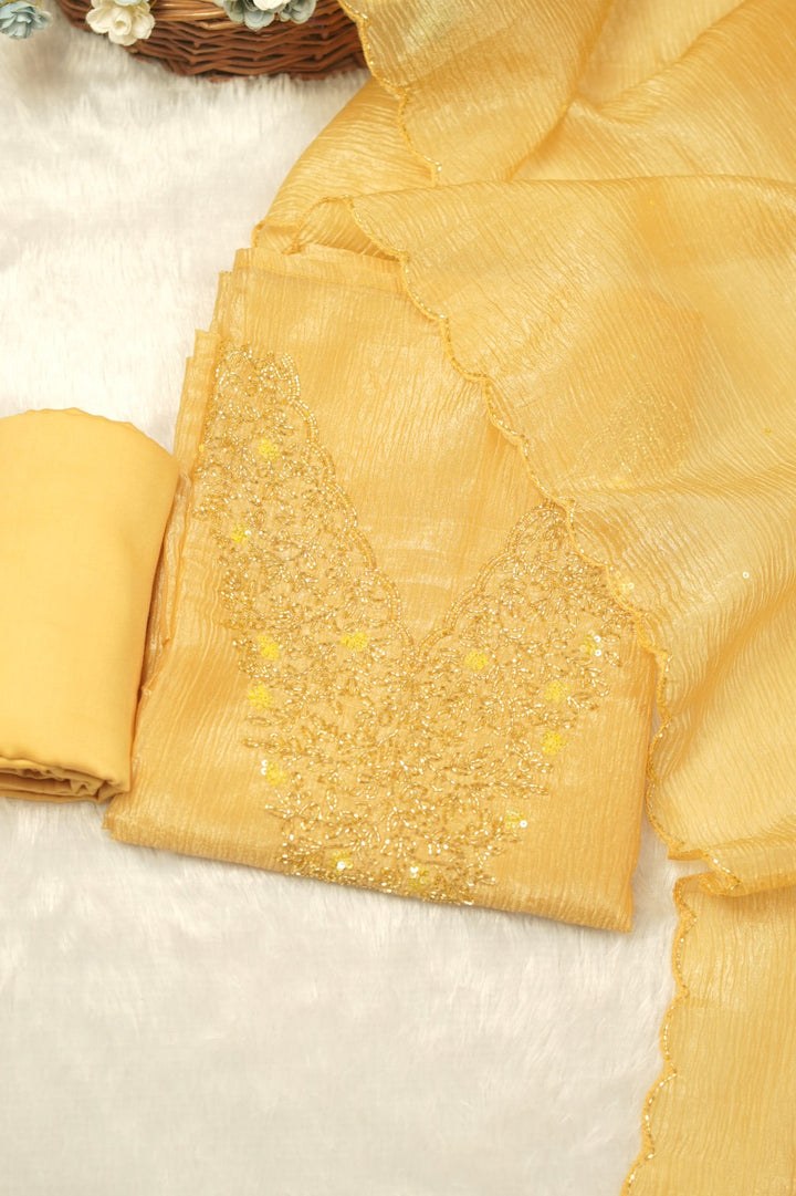 Organza Salwar TSS5481