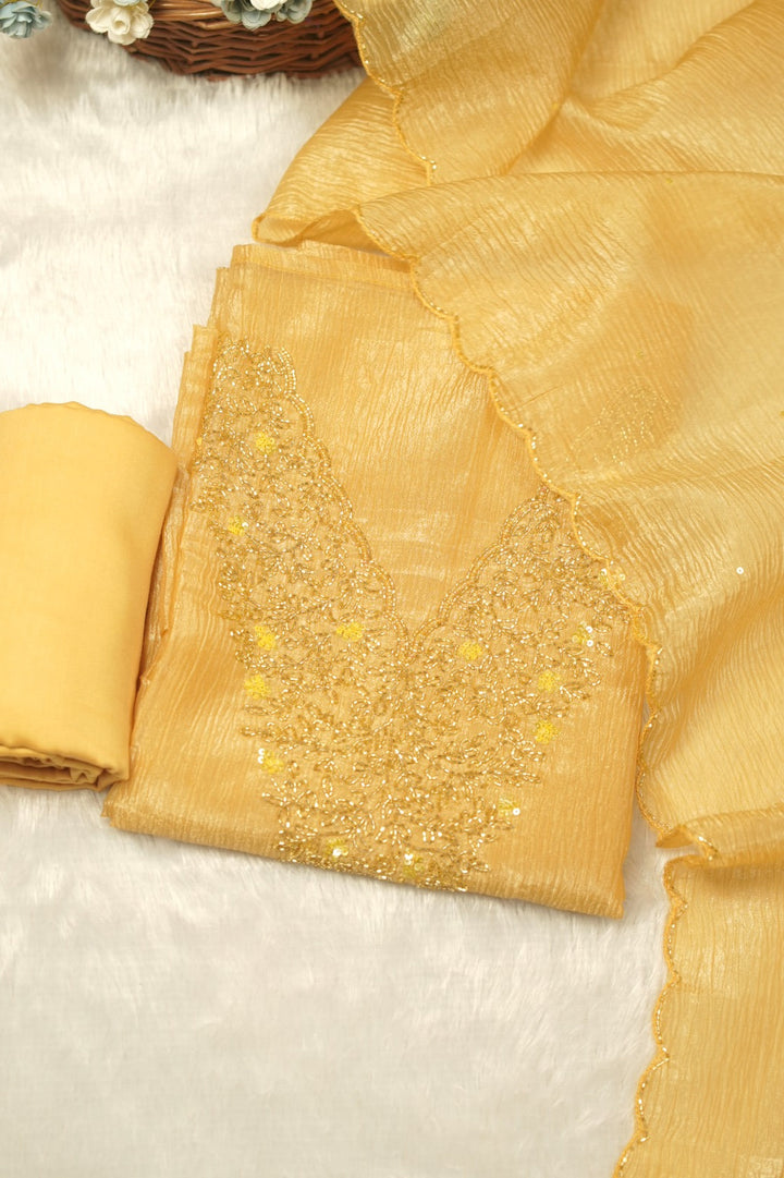 Organza Salwar TSS5481