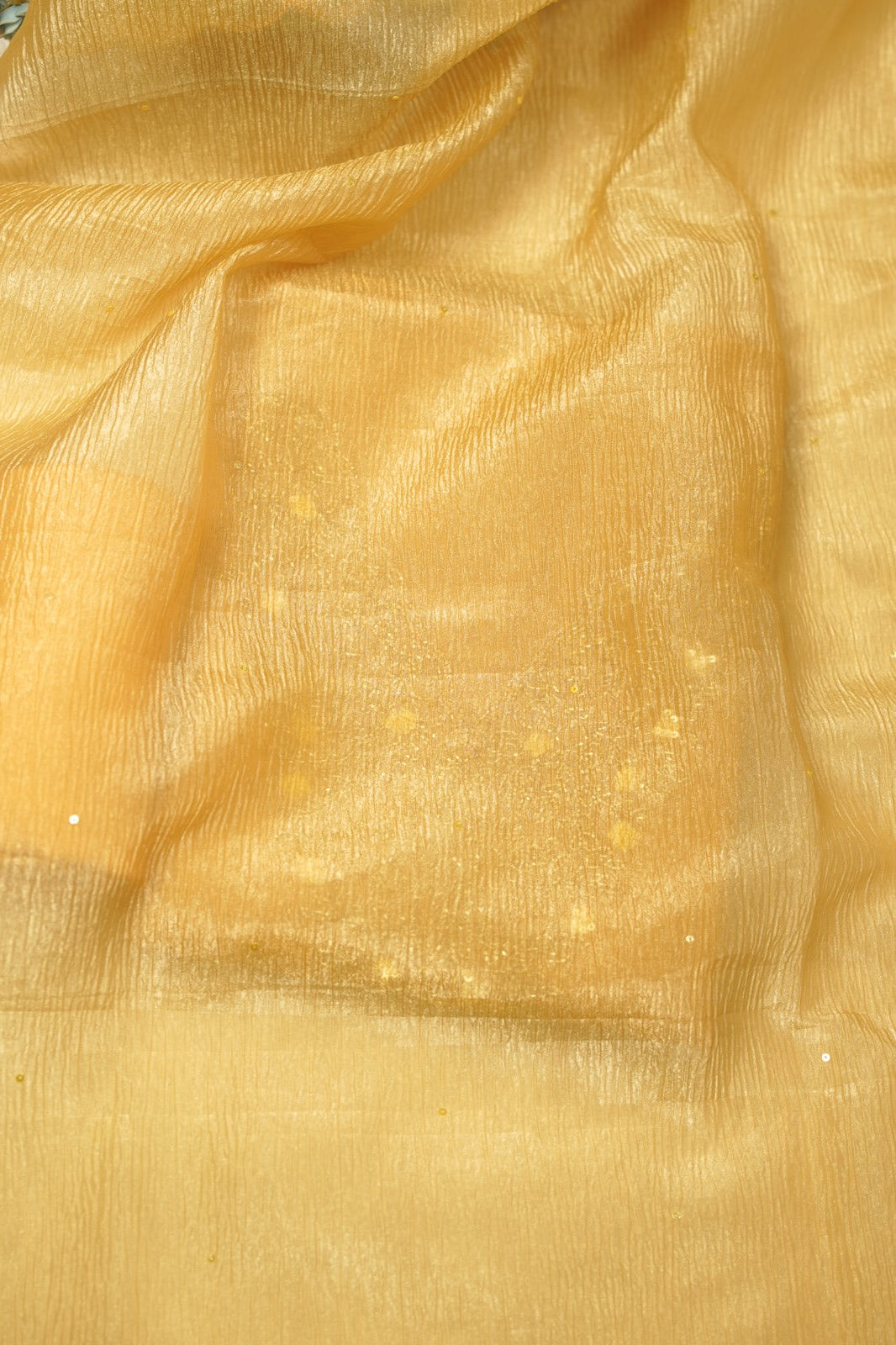 Organza Salwar TSS5481