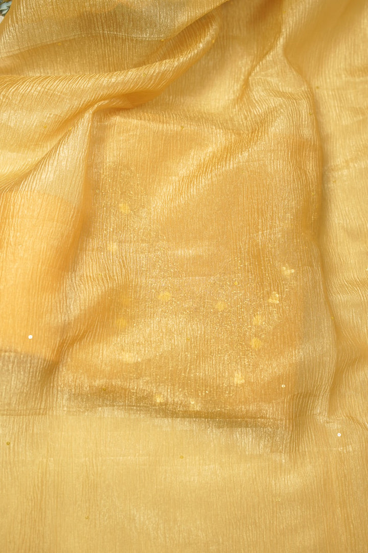 Organza Salwar TSS5481