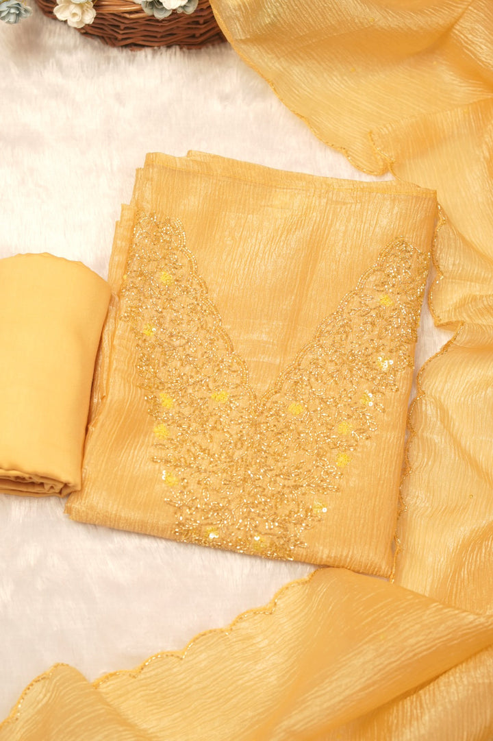 Organza Salwar TSS5481